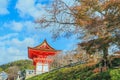 Kiyomizu-dera temple is aÃÂ zenÃÂ buddhist templeÃÂ in autum season and one of the most popular buildings inÃÂ Kyoto Royalty Free Stock Photo